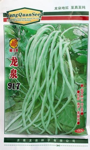 绿白条长豆角无架种植全指南 从选种到采收的实用技巧