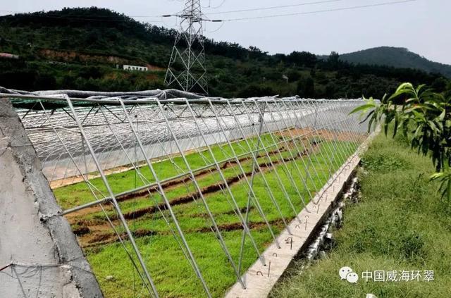 乡村建起蔬菜大棚,"黄土地"升起新希望